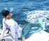 Women's Tarpon Scale Sun protective Performance Leggings - KnottyTails